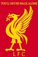 Liverbird Logo drawing