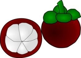 Cartoon Fruit as a graphic illustration