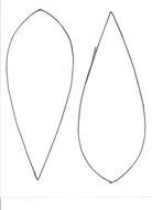 Two black outlines of the wings of the turkey clipart