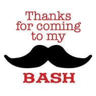 Mustache Party Favors