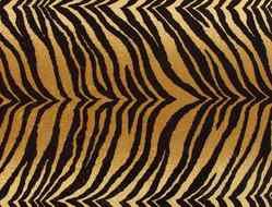 Tiger Print Fabric drawing