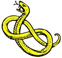 Clip art of yellow Snake