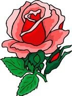 Clip art of red Rose Flower