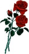 Clipart of the red roses in a dark