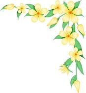 Flower Corner Designs