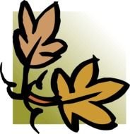 Fall Leaves Corner drawing