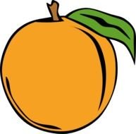 Peach Fruit Clip Art N6