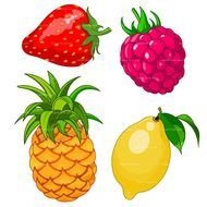 clip art with fruits