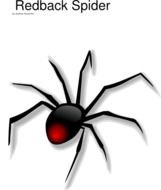 Spider Monkey Clip Art N2