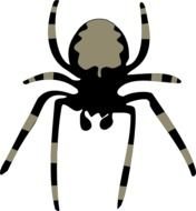 Spider Clip Art N11