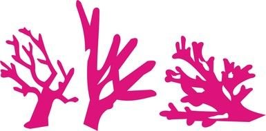 painted pink corals