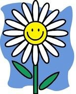 white daisy smiling, drawing