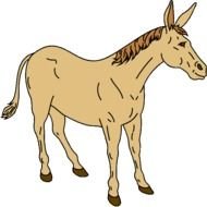 Mule Clip Art N2