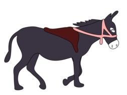 Donkey drawing