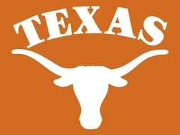Texas Longhorns Logo N4