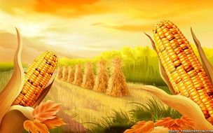 Thanksgiving background with harvest