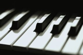 macro photo of a black and white piano keyboard