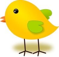 cartoon yellow Bird on Egg
