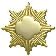 Girl Scout Gold Award