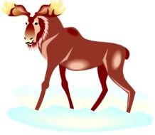 Moose Clip Art N15