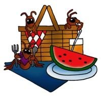 Picnic Ants Clip Art N11