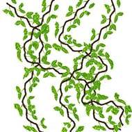 Jungle Vines Clip Art N3
