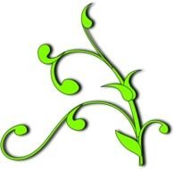 Plant Vine Clip Art N2