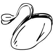 Clip art of Seeds