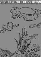 Sea Turtle Coloring Pages