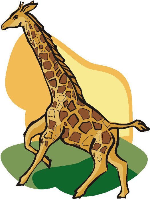 picture of a giraffe on a background of nature