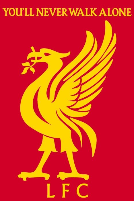 Liverbird Logo drawing