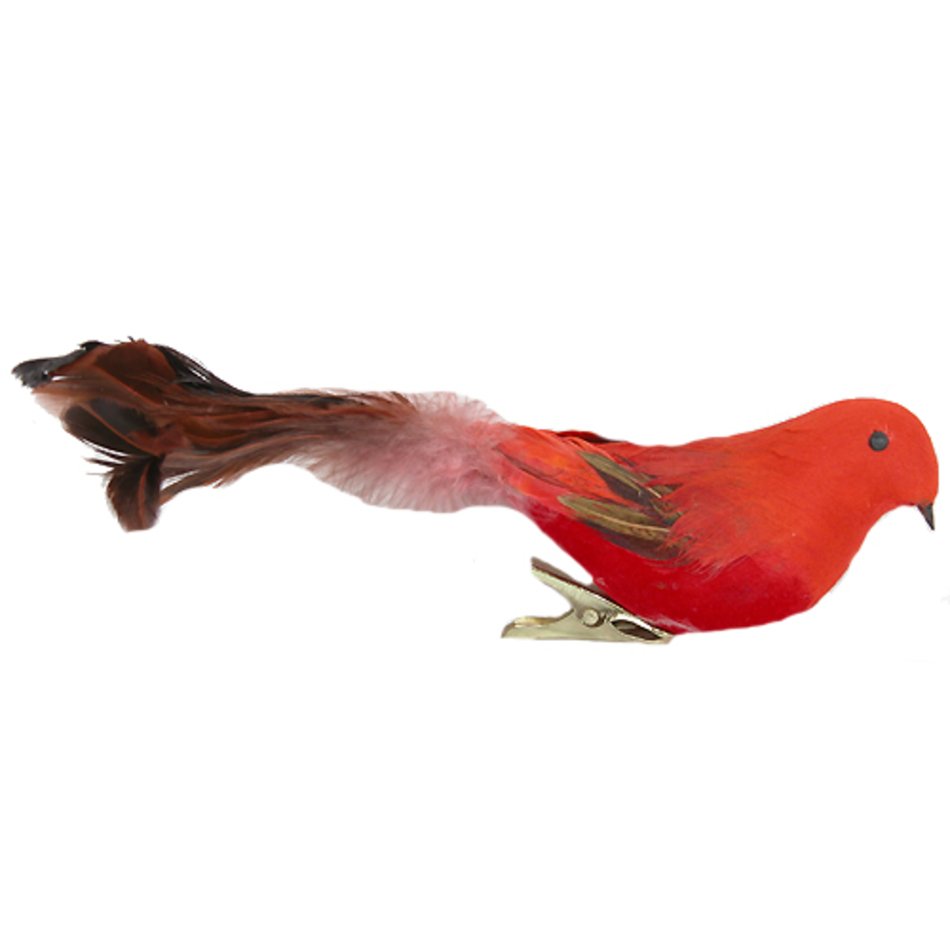 Red Bird Clip Art N8 free image download