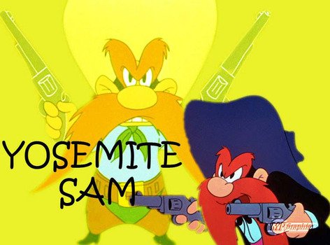 Looney Tunes Yosemite Sam N2