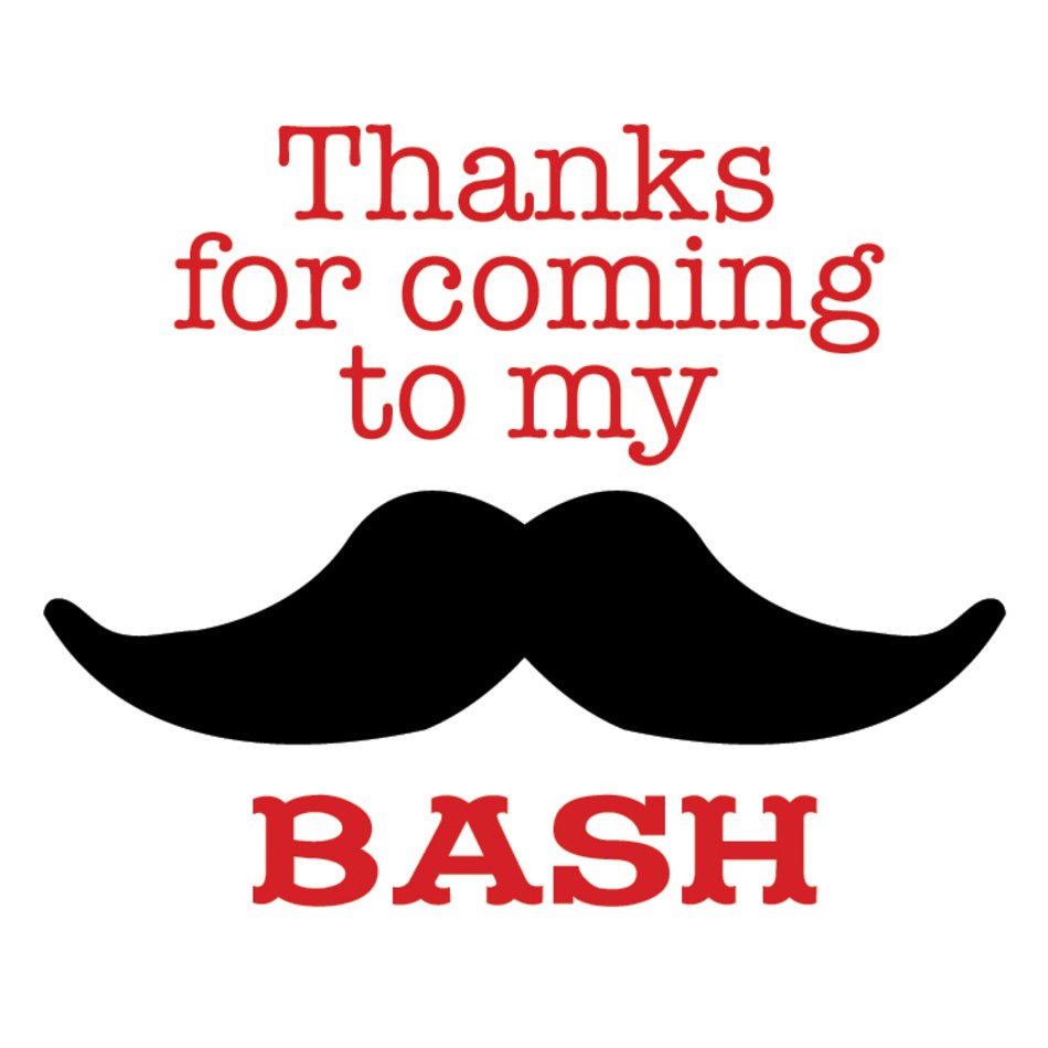 Mustache Party Favors
