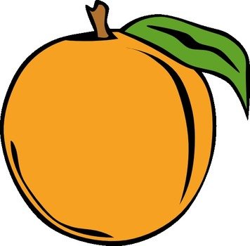 Peach Fruit Clip Art N6