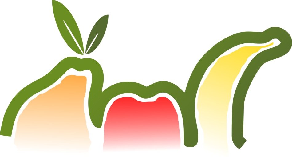 Fruit Clip Art N29