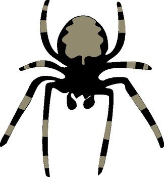 Spider Clip Art N11