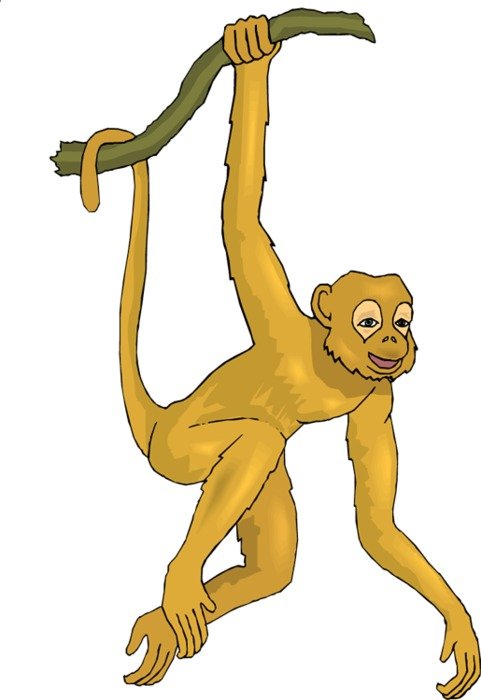 Swinging Monkey Clip Art N2