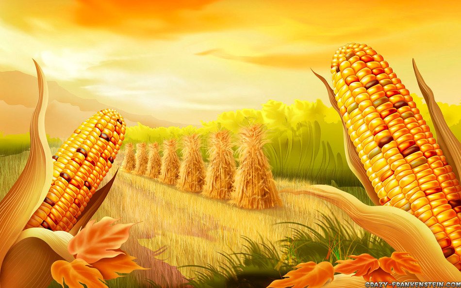 Thanksgiving background with harvest