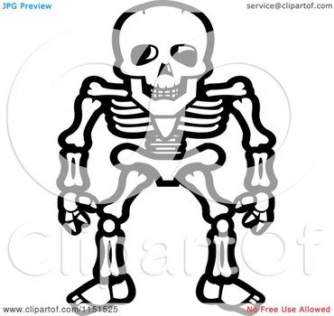 Cartoon Skeleton Clip Art N2