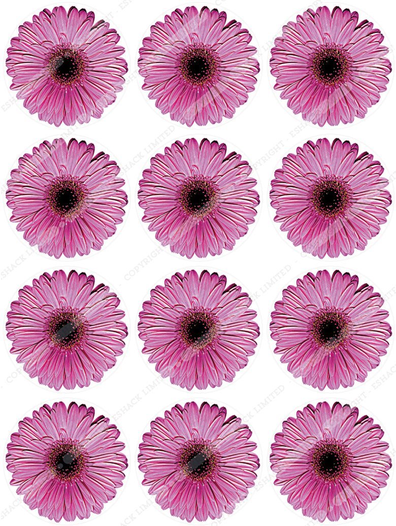 Cakeshop 12 x PRE-CUT Pink Gerbera Flowers Edible Cake Toppers free ...