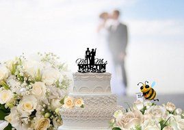 Star Wars Inspired Mr and Mrs Han and Leia Wedding Cake Topper