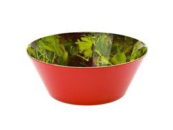 Present Time Mixed Salad Print Melamine Bowl, Small