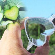 Bargain World Heart-shaped Cucumber Shaping Mold Garden Vegetable Growth Forming Mould Tool N2