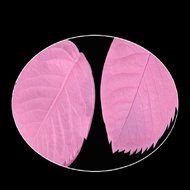 365mx DIY Leaf Shaped Silicone Press Mold Cake Decoration Fondant Cake 3D cooking tools N2