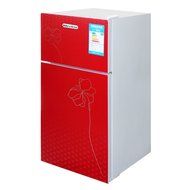 102L 2-Door Upright Freezer Fruits Beer Beverages Mini Refrigerator Cooler Office / Home Compact Fridge 3.6 cf... N4