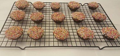 The Trusty Baker 24 Cup Silicone MINI Cupcake/ Muffin Pan