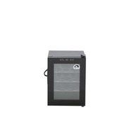 Double Pane Glass Door 12 Bottle Wine Cooler N2