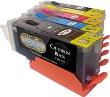Edible Printer Bundle for Canon - Comes with Edible Ink Cartridges &amp; 12 Frosting Sheets - Apprentice Package