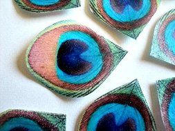 12 Edible Peacock Feathers Pre-cut 2.5&quot; Edible Feathers Decor Eyes Teal Blue Green - Perfect for Wedding Cakes...